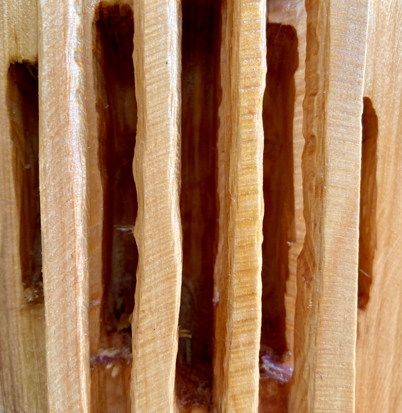 Burwell House tweet media