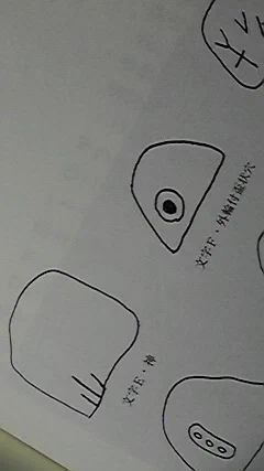 図・石にきざまれたもよう 