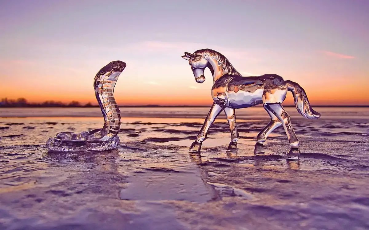 Гороскоп лошадь змея. Лошадь и змея. Лошадь со змей. Змейка на лошади. Картинки красивые разные необычные.