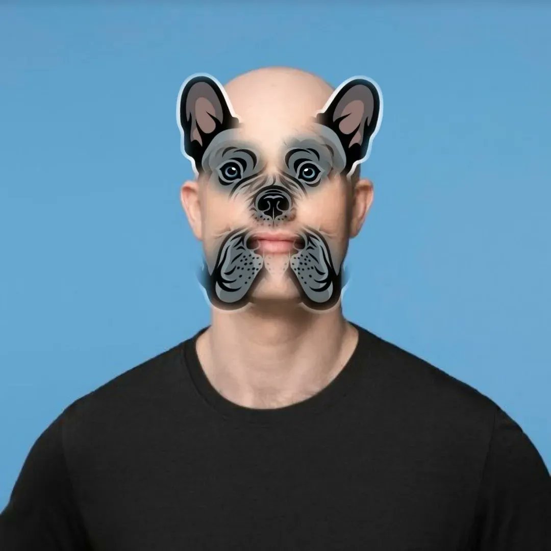 journalboyf's tweet photo. $DeFido is ready. We are not only the only coinbase meme pup. We are also a #DeFiMachine . We are coming home! #differentbreed @brian_armstrong https://t.co/Hs5yeI7K5f