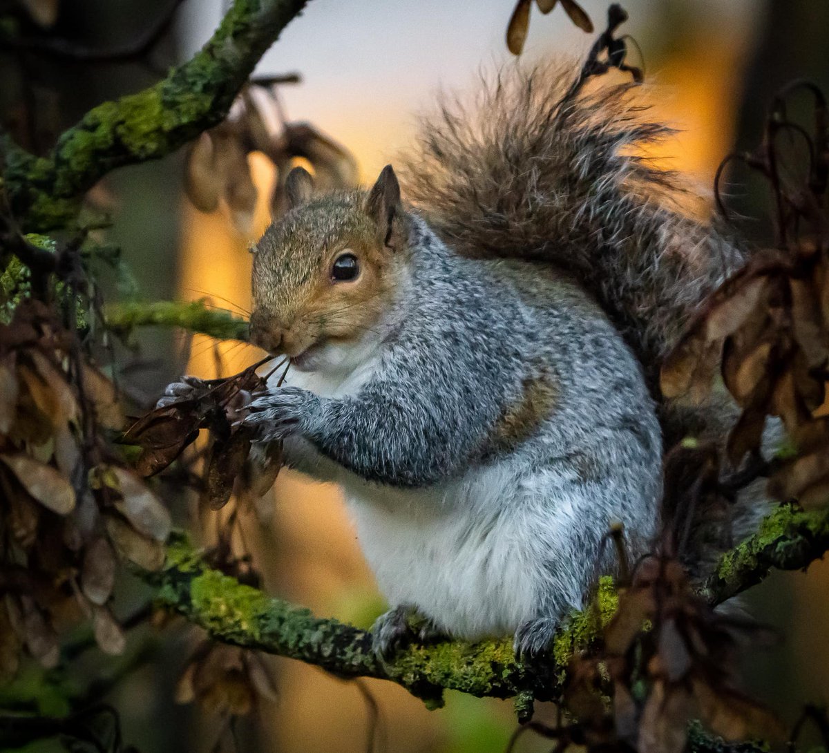 Music at Brookes tweet media