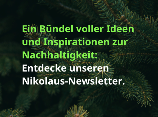 Seventeen Goals Magazin tweet media