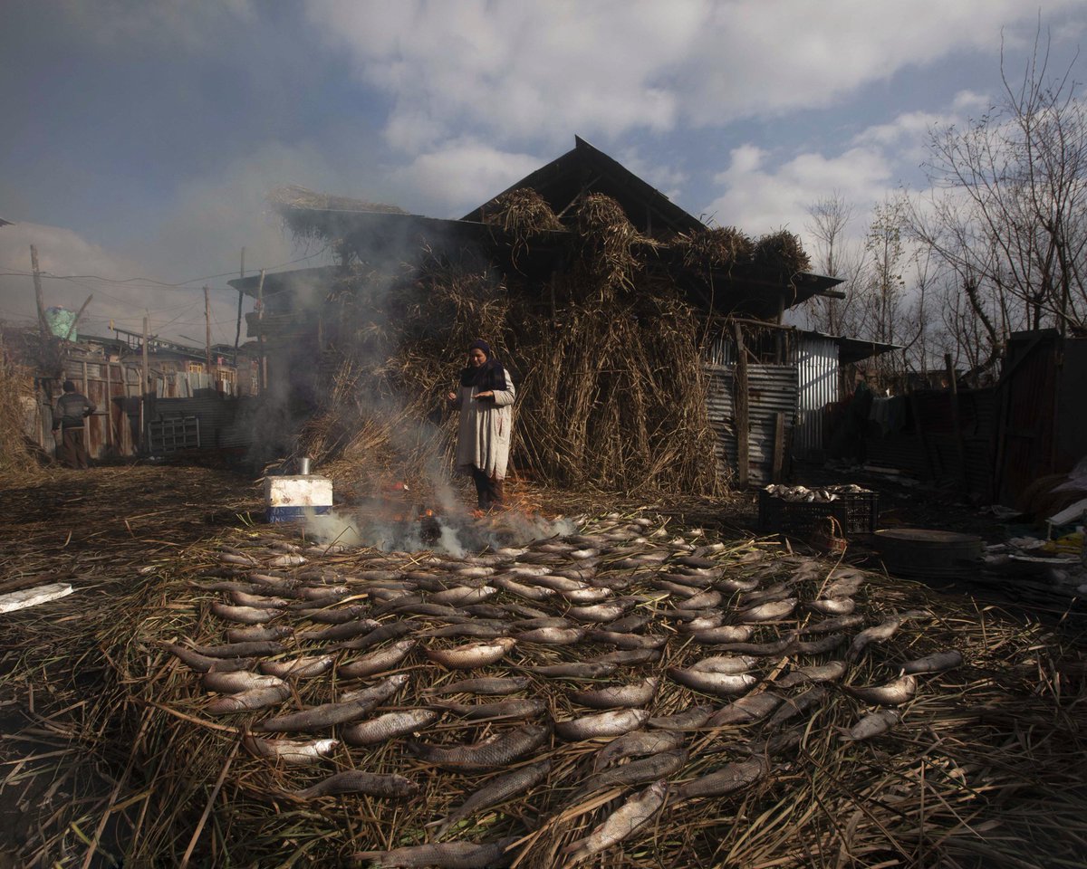 A woman in the outskirts of Srinagar preparing smoked fish -faer'ie, which is mostly available in Kashmir during winters.<a href="/umeerasif/">Umer Asif</a>