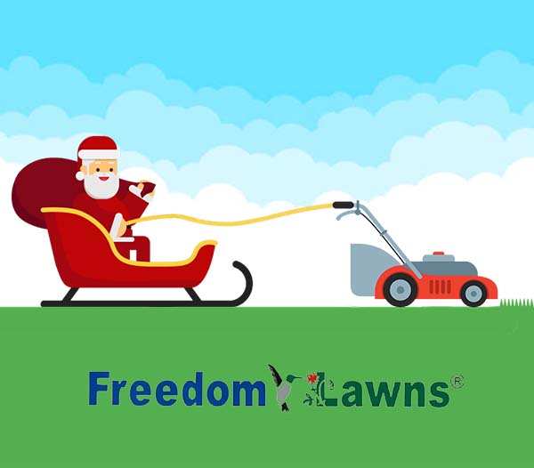 Santa's Naughty &amp; Nice lawn care advice:
🎅IT'S NAUGHTY to keep your irrigation system on all winter! This may promote excessive weeds/other lawn problems.
🎅IT'S NICE to keep your lawn mowed &amp; free of leaves/other debris over the winter months! Dead leaves can kill your grass.
