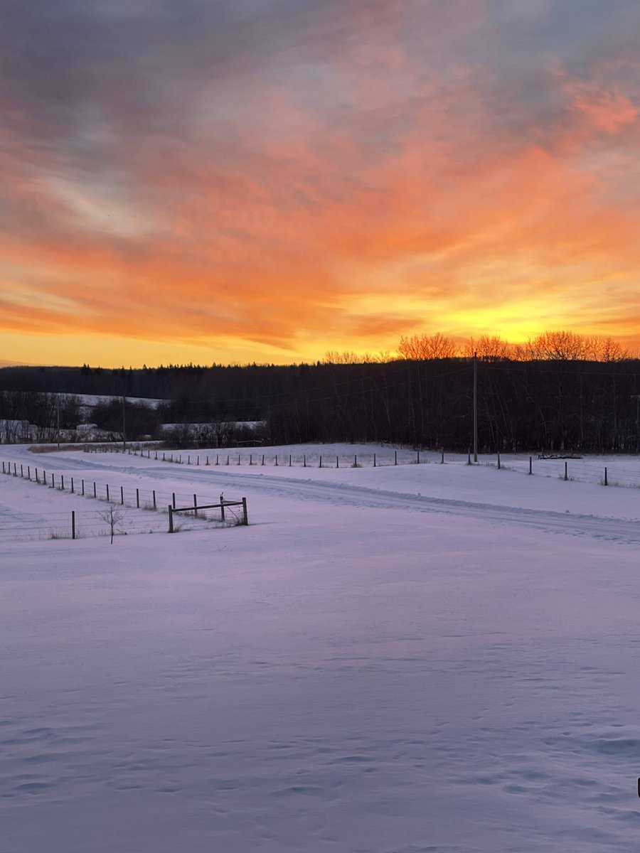 Crysde17's tweet image. #nofilters #albertaskies