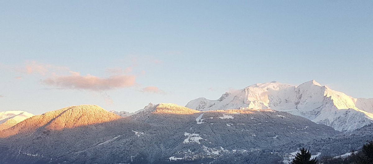 Stéphanie C tweet media