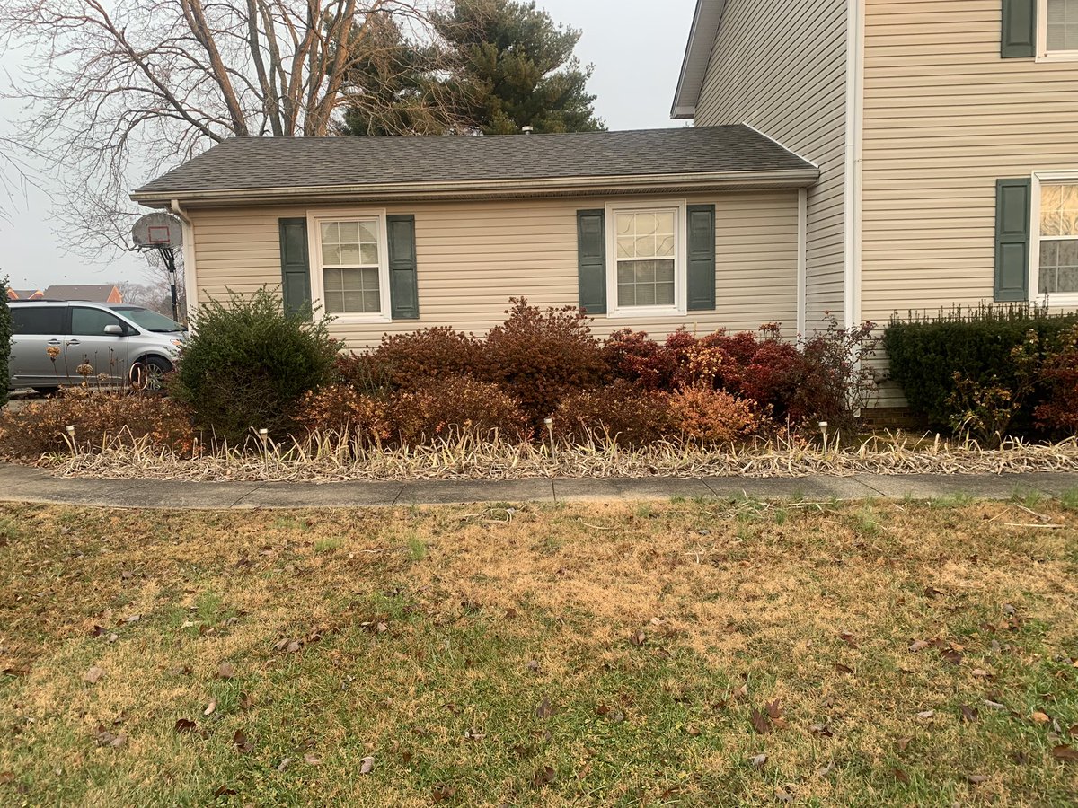 Wyatt Mclemore tweet media