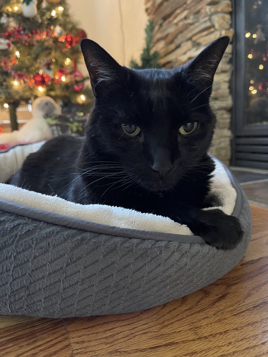 🇺🇦Midnight Daily💙💛 tweet media