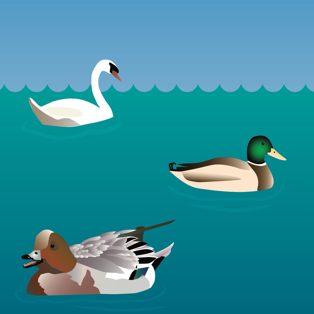 IAN_UMCES's tweet photo. ‘Tis the season…for #waterfowl! The Chesapeake Bay is a popular stopover & winter residence for waterfowl. They rest in the Bay on their way to and from their northern breeding grounds. Symbols from our symbol library. #scicomm #sciencecommunication #getoutside #vectorsymbol https://t.co/zapjBneY3p