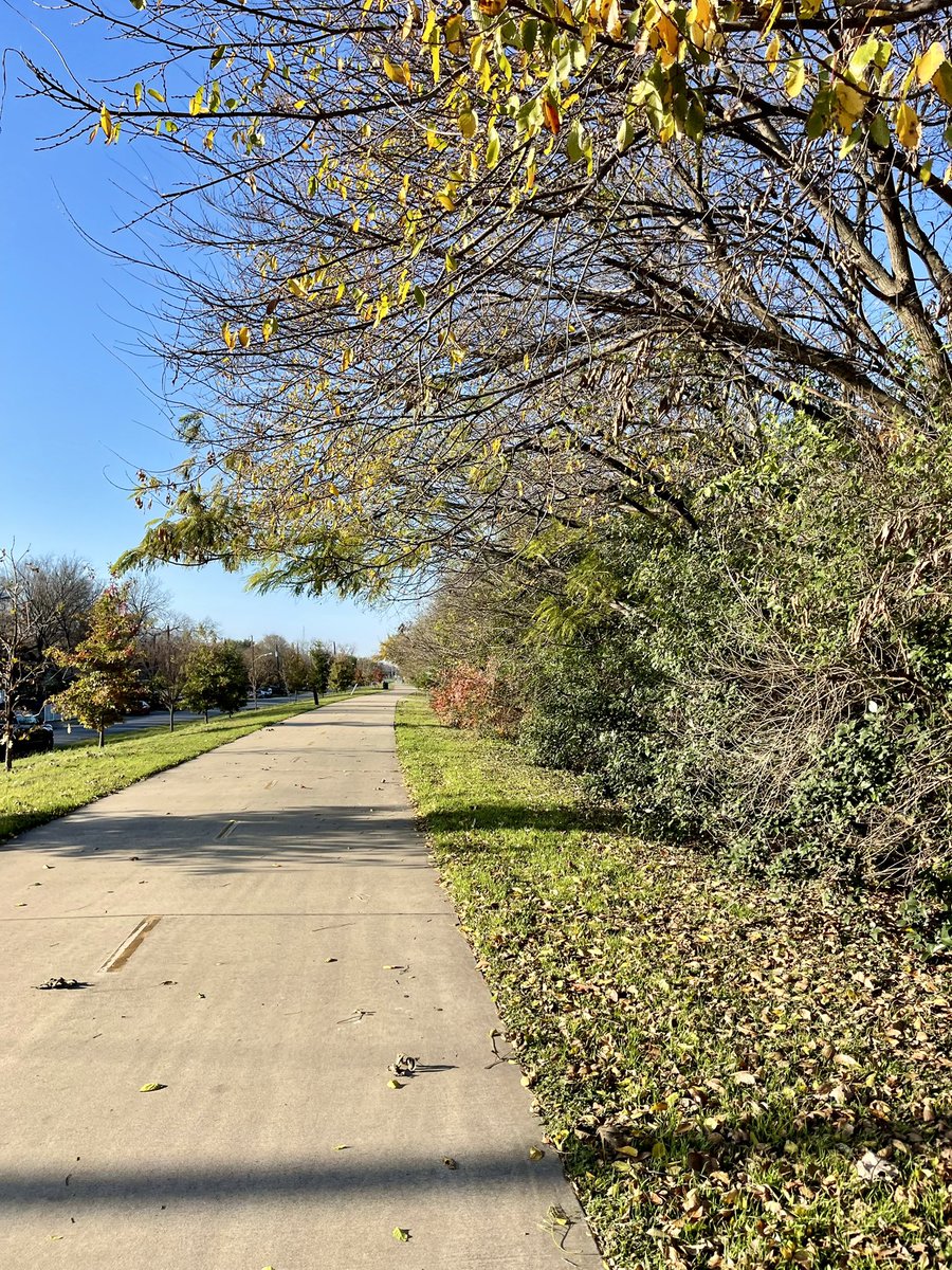 CoganinDC's tweet image. Walked about 3 miles to work today. I feel so lucky to be close to the Santa Fe Trail! #driveless #micromobility #dallastrails