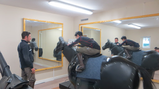 PoiseAndStride's tweet photo. .@RACEIreland is the national training academy for Irish racing, offering courses for jockeys, stable staff, trainers, breeders and others involved in the thoroughbred sector.

You can make a charitable donation to RACE here 👉 https://t.co/3ppX9EG7qM https://t.co/ZAtVOEvNJe