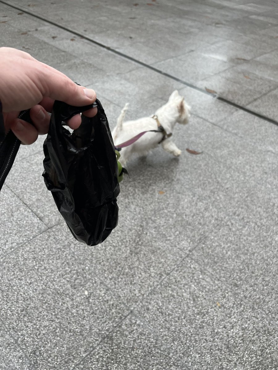 Borja Rodrigo tweet media