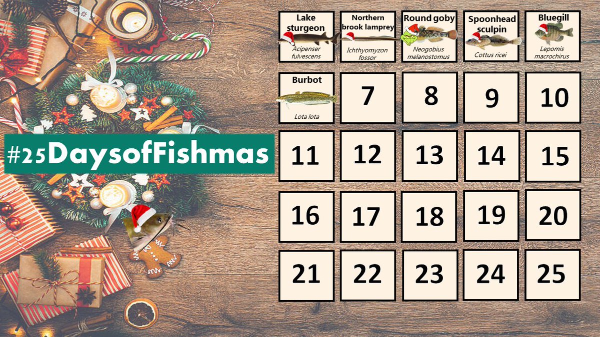 Katie O'Reilly tweet media