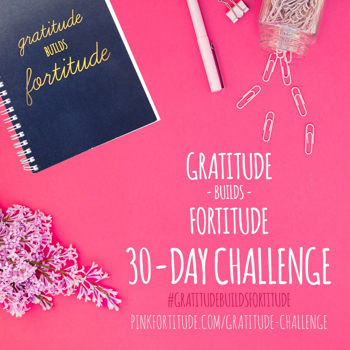 Raise your hand if life seems to have taken over these days. Are you looking to find the calm during the storm? Join me for the Gratitude Builds Fortitude 30-Day Challenge. PS - it's FREE! --> pinkfortitude.com/gratitude-chal… #gratitudebuildsfortitude #pinkfortitude #gratitude