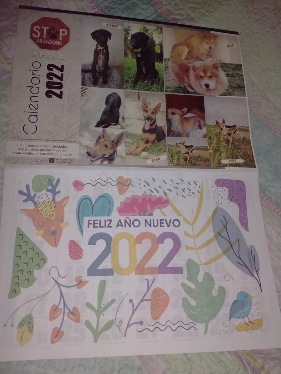 Ya tenemos los CALENDARIOS SOLIDARIOS 2022.Por solo 3€ puedes hacerte con el tuyo y a la vez ayudar a seguir manteniendo el refugio.Cada granito cuenta.Puntos de venta en Almagro:Clinica Veterinaria Malas Pulgas y Peluqueria Leticia Sánchez.Perfumería Ángela en Bolaños.