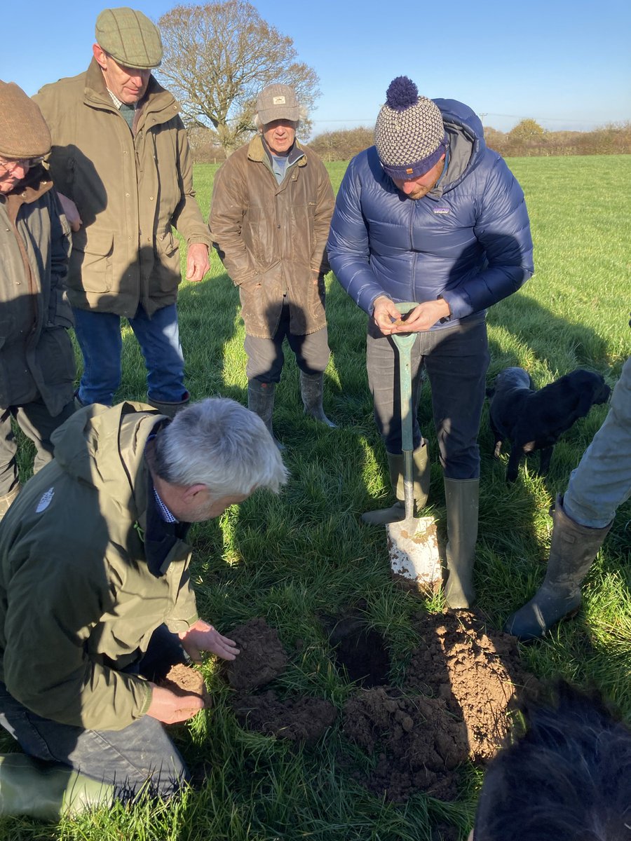 AdurFarmers's tweet photo. Great day out at Brighthams Farm, talking soil, carbon, diversity and productivity. Thanks @PhilNash2 and @SWFConsultant for fantastic morning. https://t.co/EHhyrchzFs