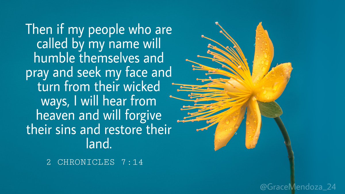 l_grace_m's tweet photo. Bible Verse/s of the day 📖
"Romans 10:10"
"2 Chronicles 7:14"
"Psalm 103:2-3"

Magandang gabi!
Keep safe always and may God bless us all. 🙏

Huwag kalimutang magdasal at magpasalamat sa Kanya. ☝️

@mainedcm ❤ @aldenrichards02 
#ALDUBatADNGetInvolved 
#BOYCOTTMZETxAPTxGMA273 https://t.co/rQ0q6ljwR1