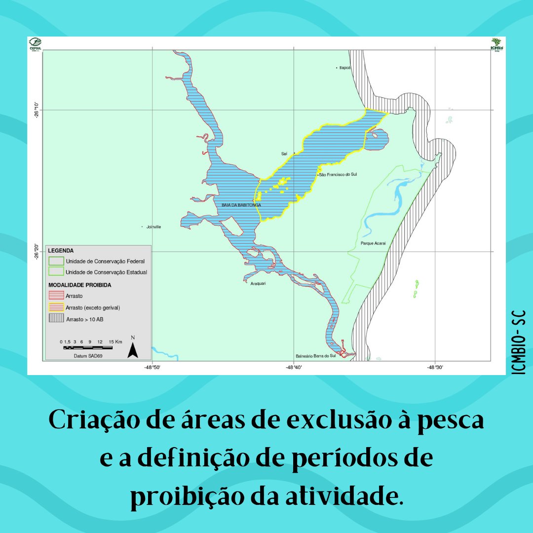 labictioufs's tweet photo. Oi, pessoal! Lembram dos posts da semana passada? Nós vimos um pouco sobre a pesca de arrasto e o ByCatch. Depois revise o conteúdo aqui no perfil, certo? 😉

Hoje nós vamos aprender sobre a gestão pesqueira. ⬇️

Saiba mais em: https://t.co/mYuavgSD52

#icththyology #bycatch https://t.co/uQqaJ826e5