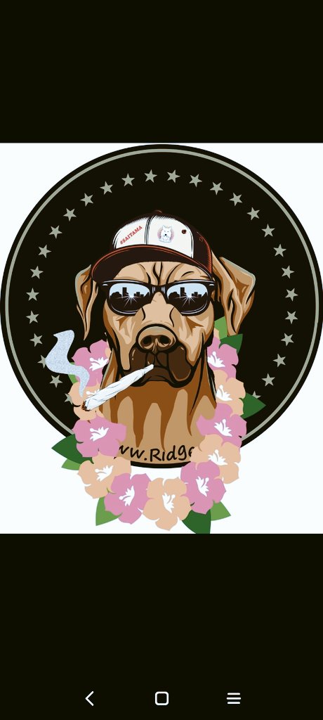 ChadCaff's tweet photo. $RIDGE is single-handedly saving portfolios https://t.co/jZ5Gco3lLT