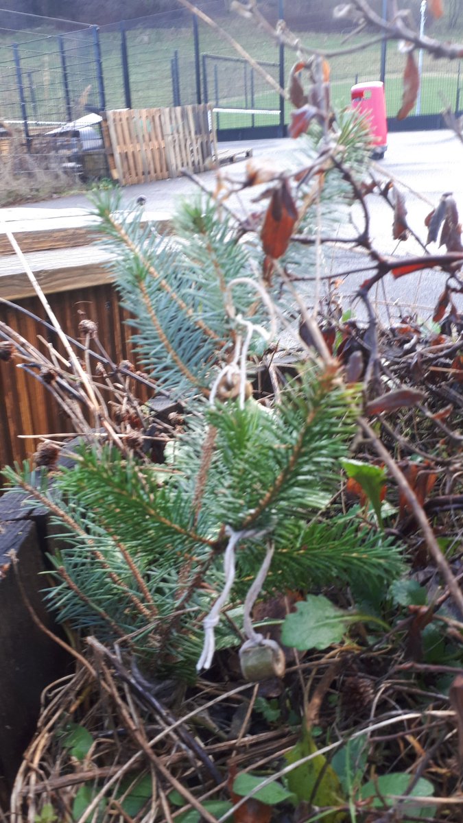 outdoorcleghorn's tweet photo. Fantastic #creativity and #initiative on display at @KirkfieldbankPS this morning. Memories of freezing rain were dispelled by some brilliant play that helped get the blood circulating again! https://t.co/3SB4RHkZ8D