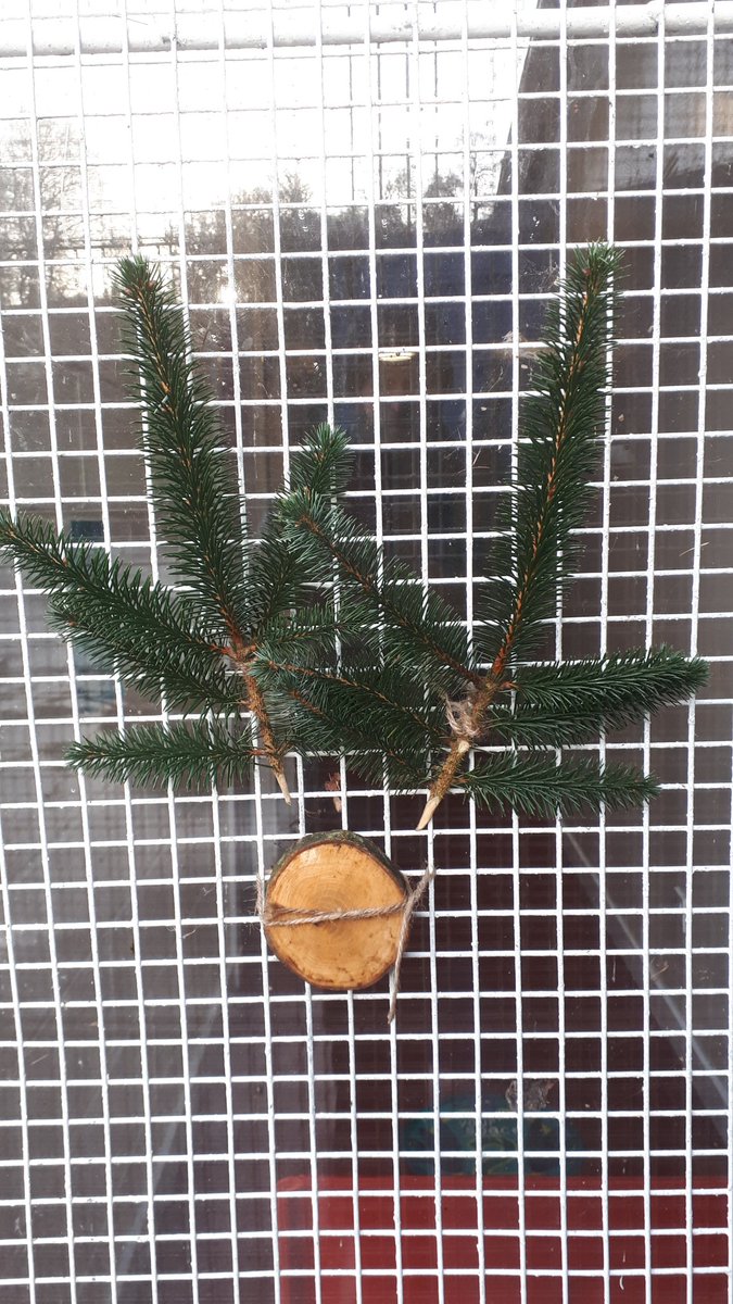 outdoorcleghorn's tweet photo. Fantastic #creativity and #initiative on display at @KirkfieldbankPS this morning. Memories of freezing rain were dispelled by some brilliant play that helped get the blood circulating again! https://t.co/3SB4RHkZ8D