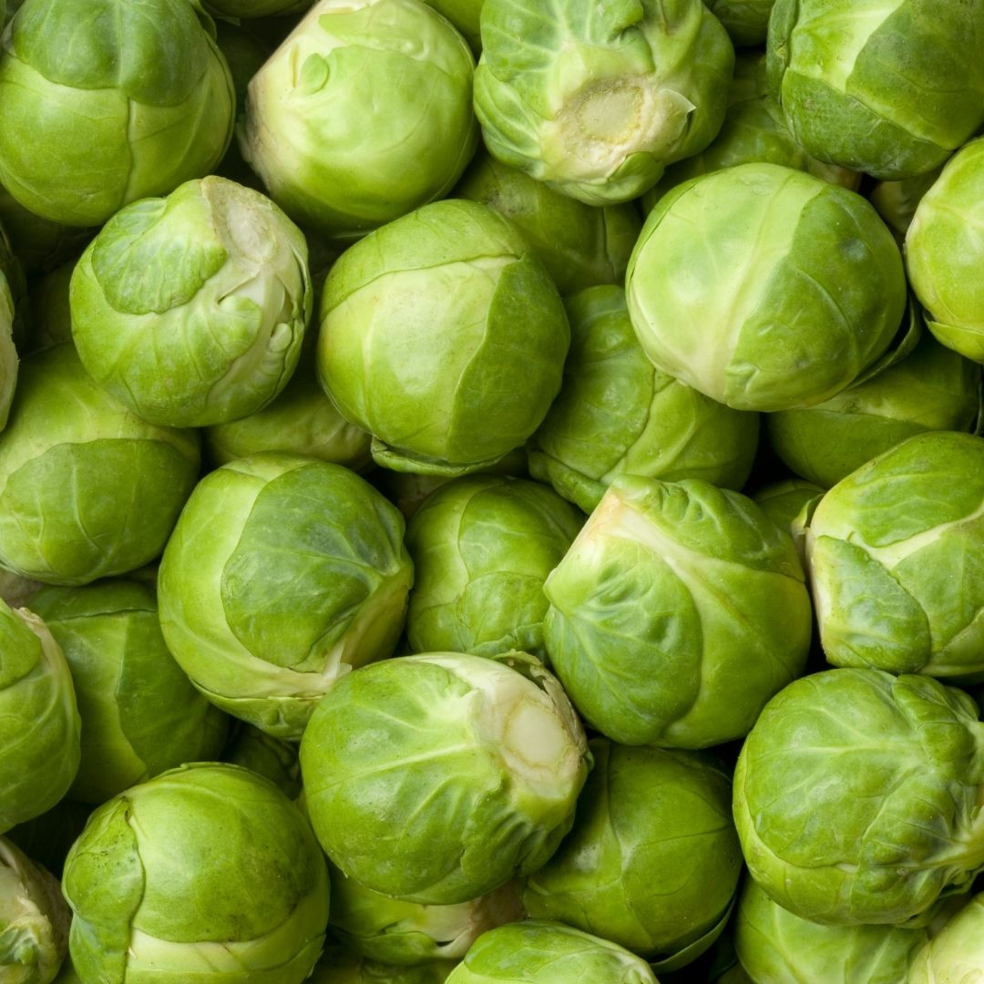 fieldandforest1's tweet photo. Eating seasonally is becoming more important, with pressure on supply chain highlighting gaps between what we want and what we can get.

December Christmas classics are now in season including Parsnips, Chestnuts, Brussel Sprouts and Red Cabbage.

#vegan #fruit #vegetables https://t.co/nBfuvCWF6R