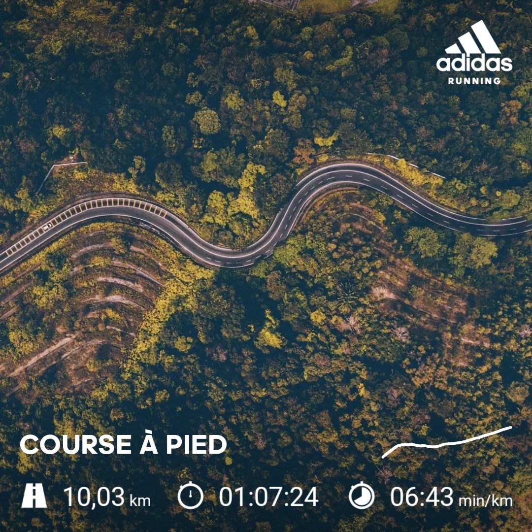 Lilyshinerun's tweet photo. Séance du jour 30 minutes d échauffement 6x400 mètres rapides et 15 minutes de récupération.
#run #running #beginner #MondayMotivation #Sunnydecember #asicsgelnimbus23 https://t.co/3pFb2Efc4h