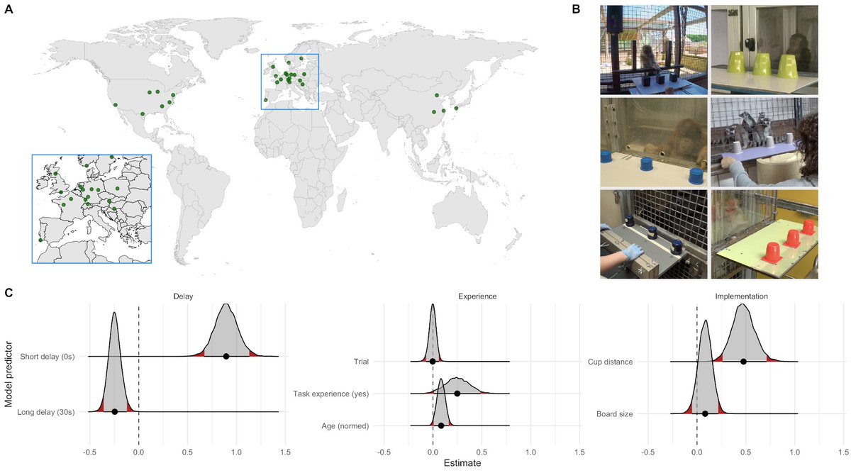 ManyPrimates's tweet photo. We studied 421 captive #primates, representing 41 different species, at 29 sites in a pre-registered, experimental delayed-response task. https://t.co/kEksPvXTGy