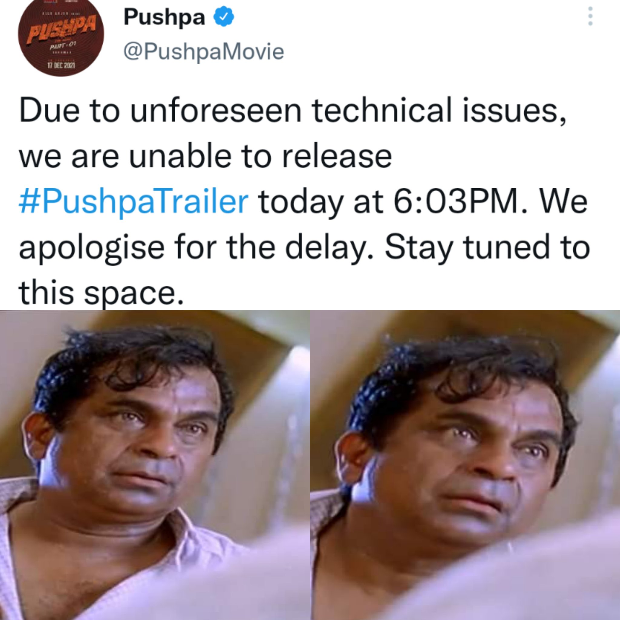 Unprofessional Trollers on Twitter: Unprofessional Trollers on Twitter: