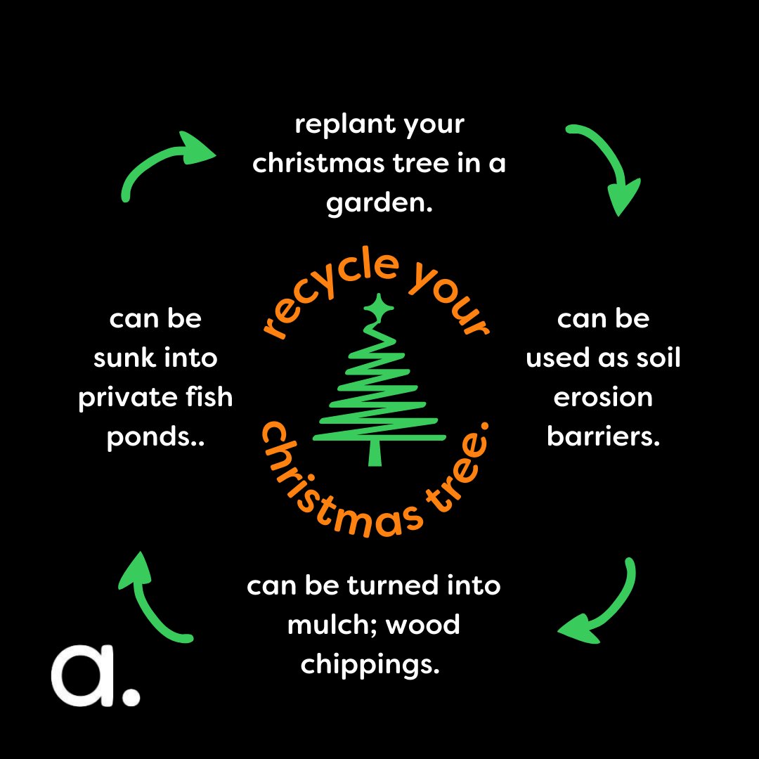 Abnormal_UK's tweet photo. Did you know your Christmas tree can be recycled?♻️

replant your Christmas tree in your garden and it can be used for years to come! It's as simple as that🎄
-
Access your 7 personalised abnormal. meals here:  https://t.co/B0adu9aEuf🍃

#abnormal #recycle #sustainableliving https://t.co/CdDbZi4oUd