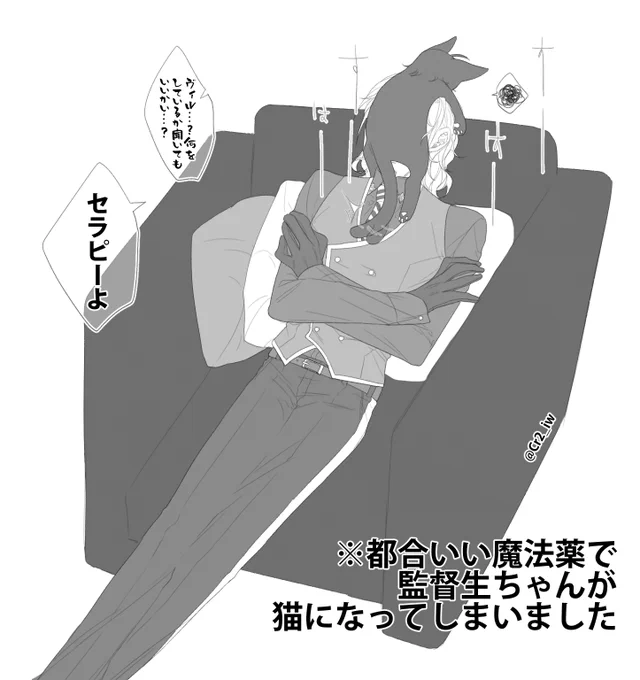 眠かったのでrkgkで許して
⚠️かっこいいヴィはいません

ヴィル監👑🌸
#twstプラス 
