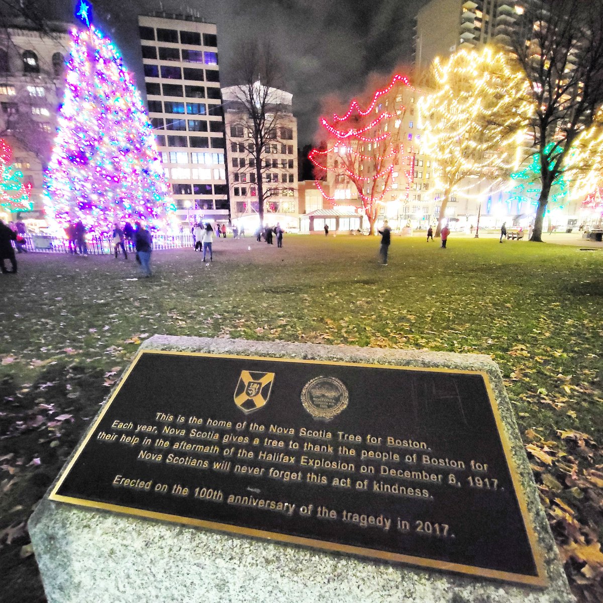 2,000 people were killed in the Halifax Explosion as the largest man-made explosion before the development of nuclear weapons 104 years ago today.

Nova Scotia has been gifting Boston a tree since 1971, in gratitude for Boston's immediate assistance after the explosion.

🎄❤