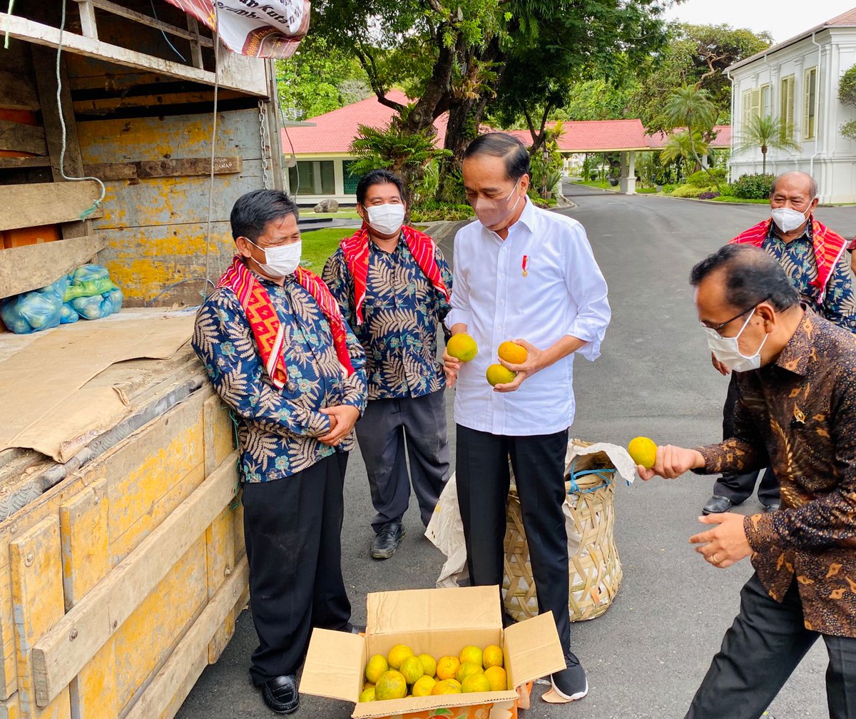 setkabgoid's tweet photo. Presiden @jokowi Terima Perwakilan Warga Liang Melas Datas di Istana

#KabarKabinet
https://t.co/G61SocSGlr https://t.co/CzJ1QnLbmm