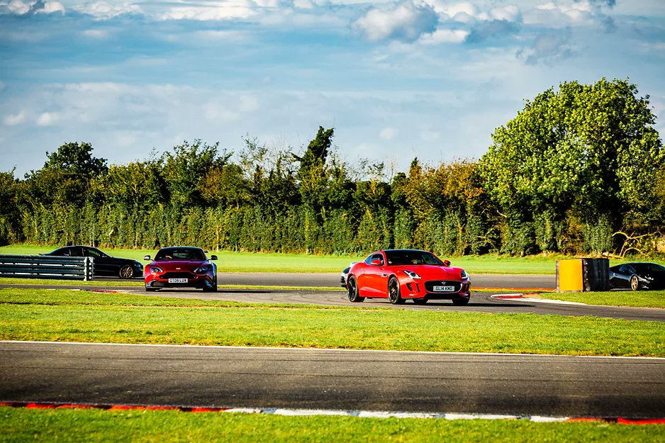 Shepherd Compello tweet media