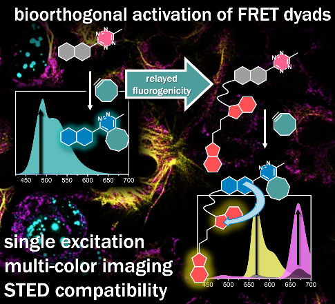 ChemBiolHun's tweet photo. Check out our latest paper in Angewandte:
https://t.co/0Xb2zUw2q0
Congratulations to Evelin Albitz and all the co-authors! https://t.co/DQcLfUvzBu