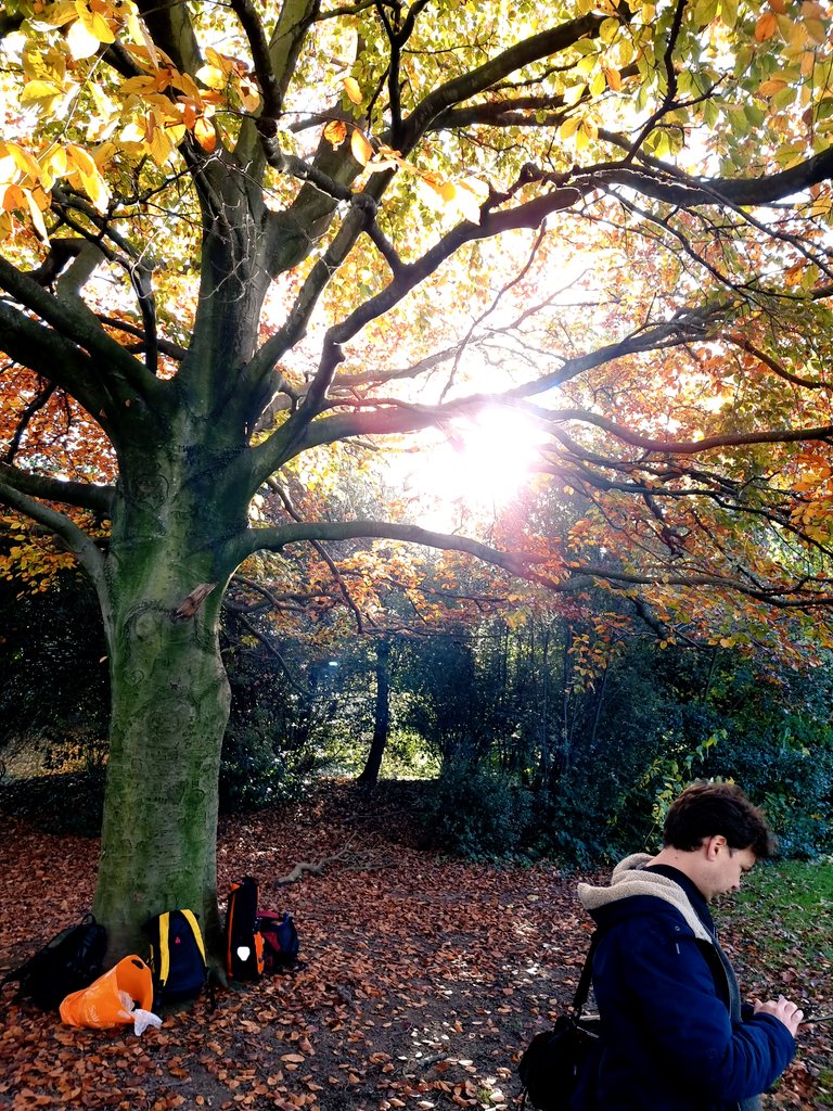 REGEN_Study's tweet photo. Big thanks to all the @PearlPlace_ technical team braving the 🧊❄ to collect light, video, and sound recordings for our simulated urban greenspace environment 🌳🌲🌿🍂🍃 https://t.co/FFCfIdI4N6