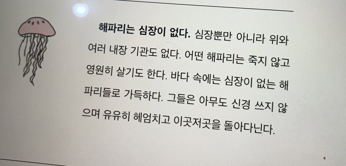 해파리는 도대체 뭐임?