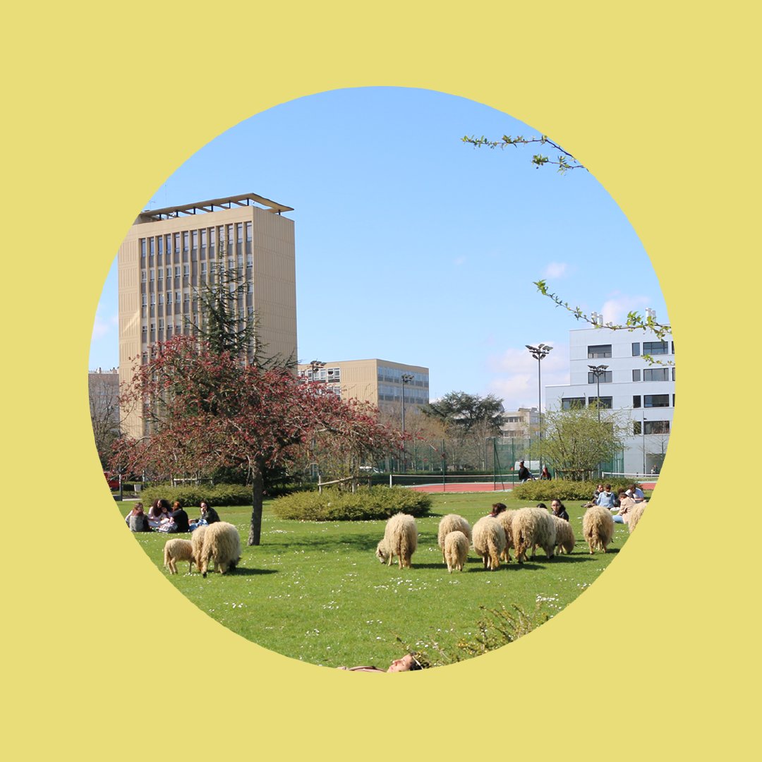 Since the 1960s, UPN has dedicated itself to being a new type of institution of higher education. An institution of learning and research whose defining characteristics are its vibrant campus life, educational innovation and scientific research with a social dimension #Nanterre