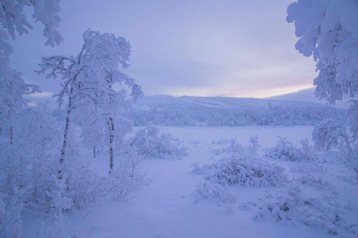 Happy Independence Day Finland 💙🇫🇮