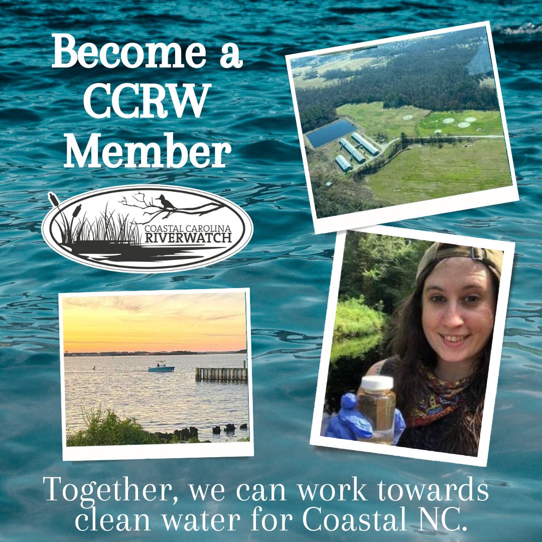 Coastal Carolina Riverwatch tweet media