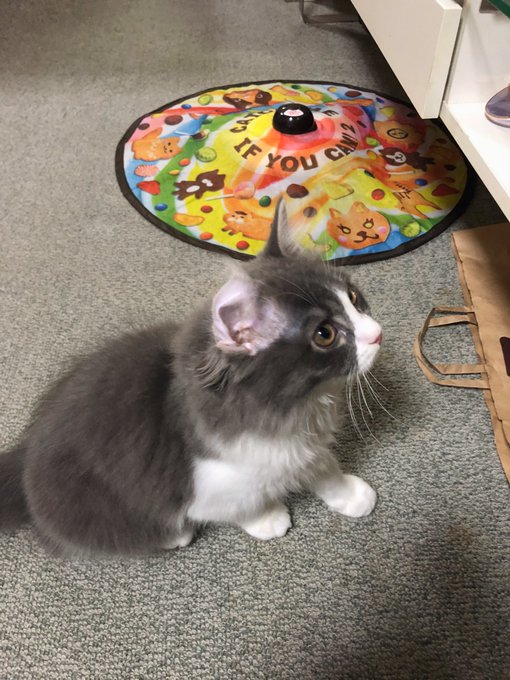 りおんくんお耳!!!笑笑 