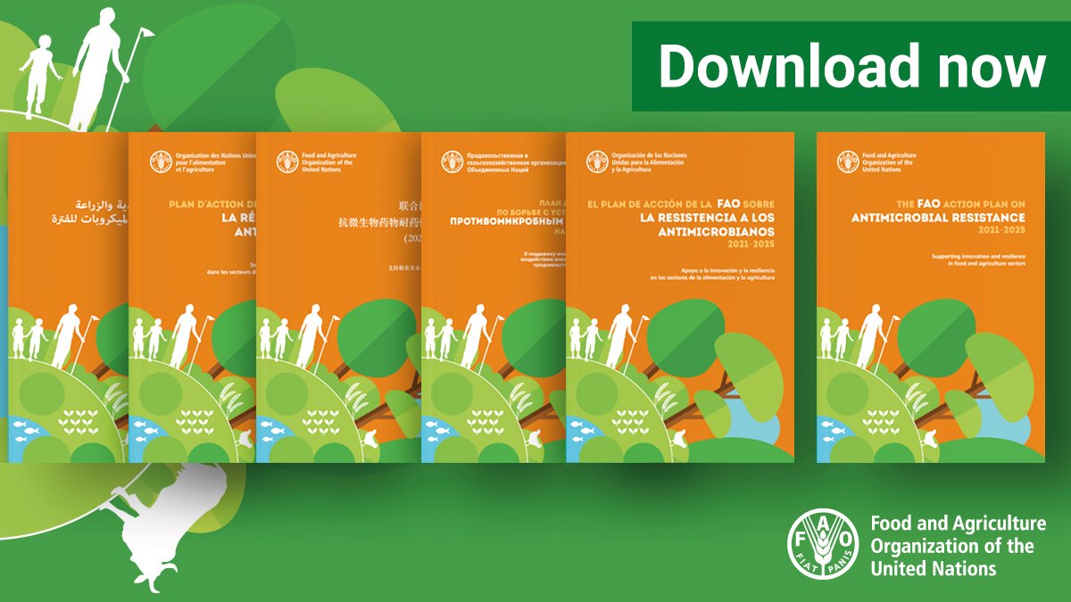 Prudent use of antimicrobials will reduce  the emergence and spread of #AntimicrobialResistance
💊🤚
Learn more in <a href="/FAO/">Food and Agriculture Organization</a> Action Plan on Antimicrobial Resistance 2021-2025

More info 👉bit.ly/30H49Cg