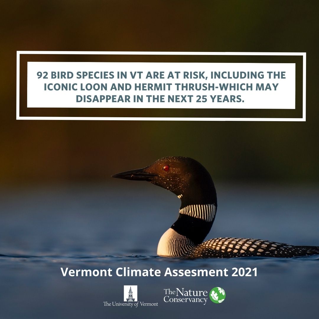 TNCvermont's tweet photo. Join us for "Talking Vermont Climate Impacts and Actions" webinar Dec. 8th at 12:00 pm. @uvermont , @VBSR, and TNC will breakdown the Vermont Climate Assessment.
Register in advance for this webinar: https://t.co/BlNBqo0Z3p
#vtpoli #vtnature #climateassesment #vermontclimate https://t.co/05A8SoVJae