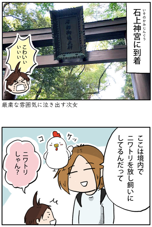 鶏を放し飼いしている神社に行ってきた
https://t.co/riqlxCal3f 