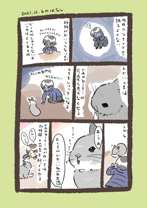今日のrabbit…
#うさぎのいる生活 