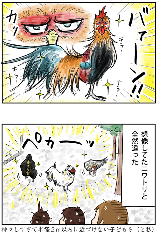鶏を放し飼いしている神社に行ってきた
https://t.co/riqlxCal3f 