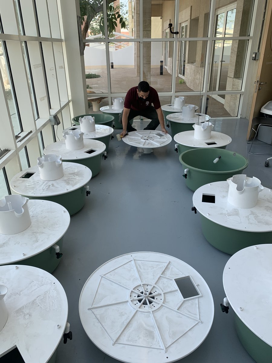 TAMUQ's tweet photo. Benjamin Cieslinski and Mohamed Gharib from our STEM Outreach team volunteered their expertise at @QF’s @awsajacademy, constructing and installing the school’s new vertical micro-farm where students and teachers will be able to grow plants using recycled water and nutrients. https://t.co/bRdNCzGGqJ