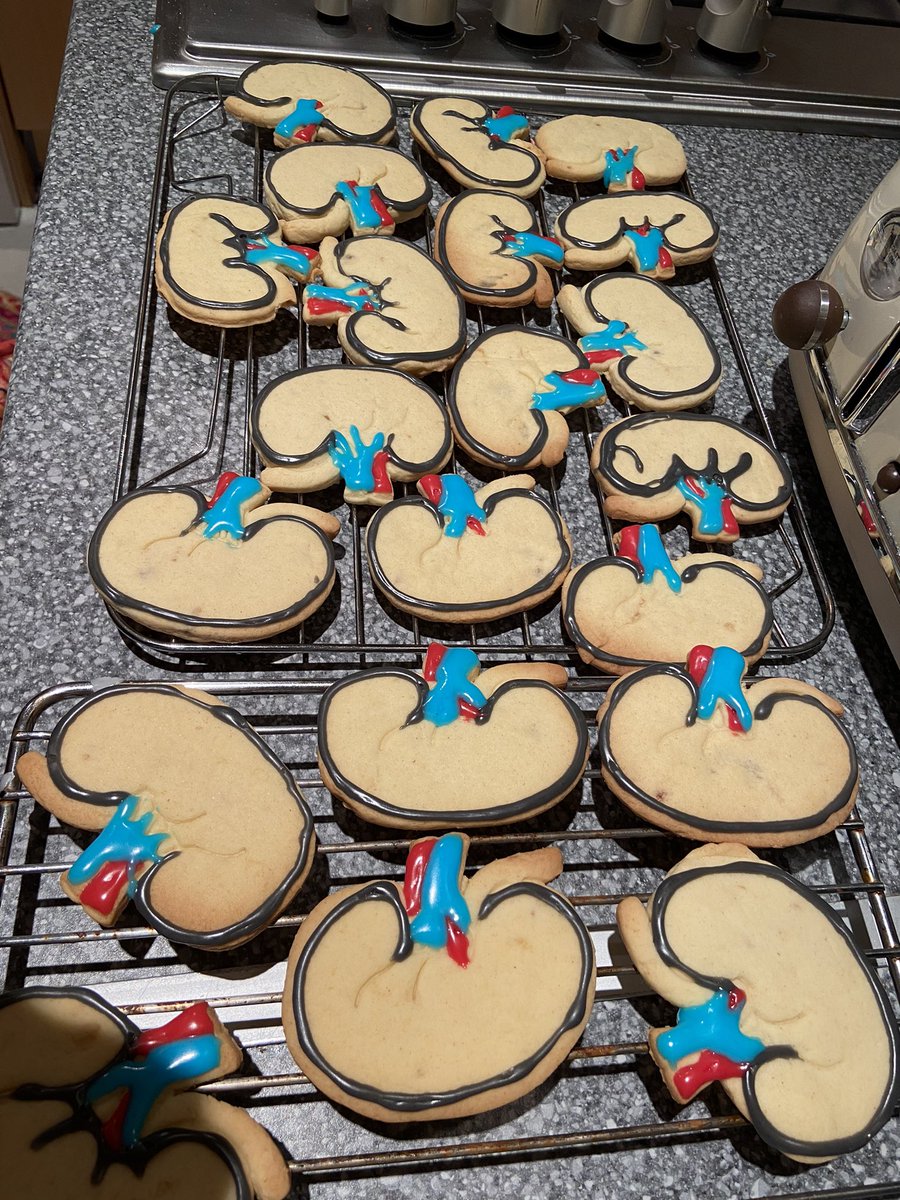 emilyanatomy's tweet photo. Anyone for a kidney cookie? #anatomy #kidney #baking #anatomybaking #sciencebaking https://t.co/I5slLKTMmz