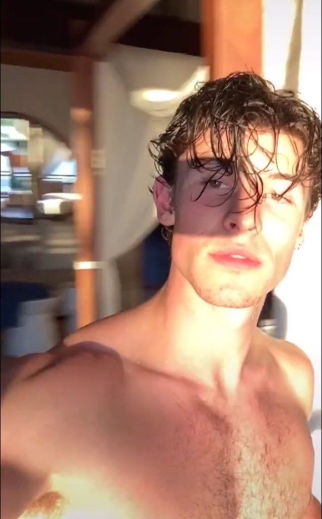melodramaupas's tweet photo. Shawn Mendes ☀️ https://t.co/FWqPoUp9Qc