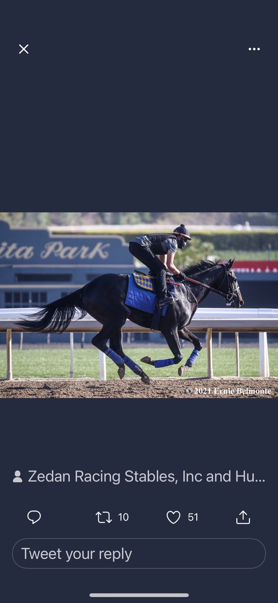 MommaMetz's tweet photo. Josh Metz, you knew he was a champion from the very beginning 🐎 . https://t.co/1a9830tbjC